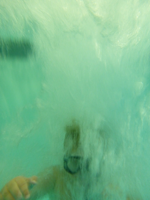 P1000081 (09-06-2013 18:56)