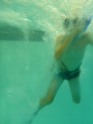 P1000083 (09-06-2013 18:56)