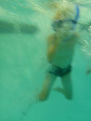 P1000084 (09-06-2013 18:56)