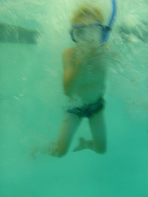 P1000085 (09-06-2013 18:56)