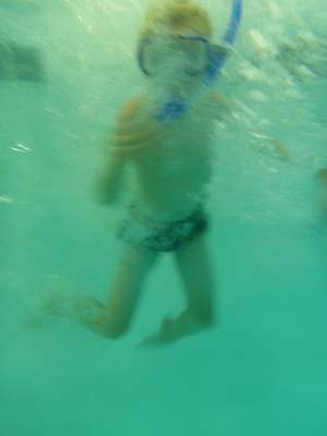 P1000086 (09-06-2013 18:56)