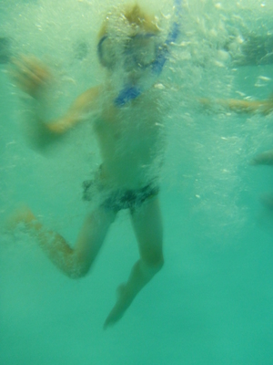 P1000087 (09-06-2013 18:56)