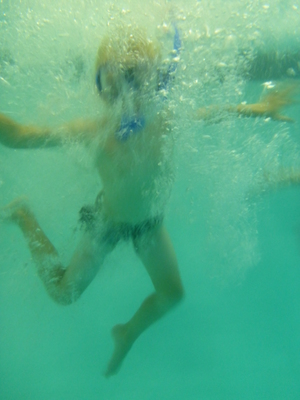 P1000088 (09-06-2013 18:56)