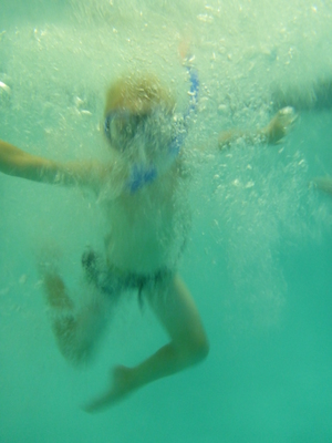 P1000089 (09-06-2013 18:56)