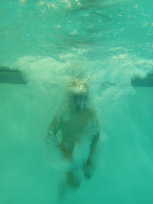 P1000090 (09-06-2013 18:57)