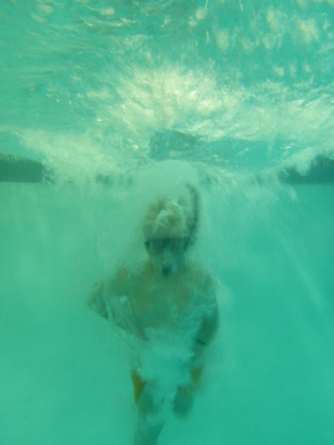 P1000091 (09-06-2013 18:57)