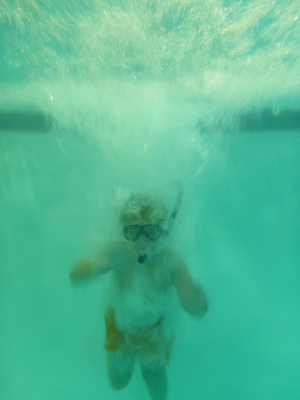 P1000094 (09-06-2013 18:57)