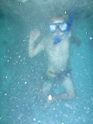 P1000098 (09-06-2013 19:00)