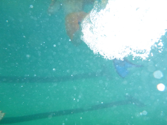 P1000100 (09-06-2013 19:05)