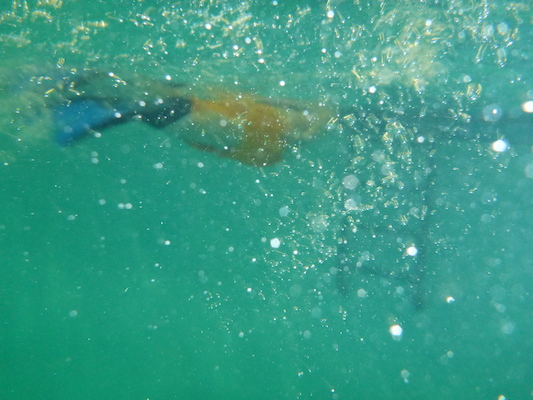 P1000101 (09-06-2013 19:05)