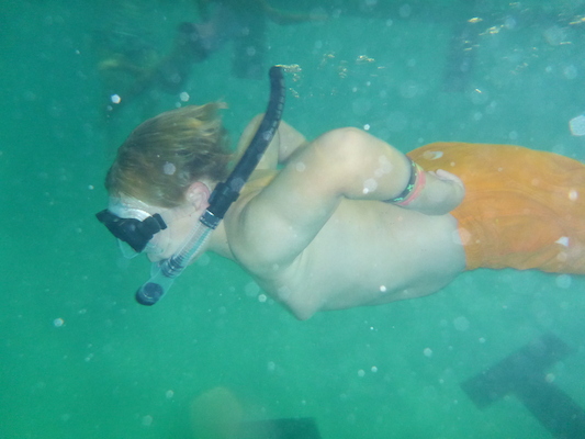 P1000102 (09-06-2013 19:06)