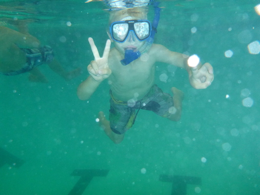 P1000104 (09-06-2013 19:07)