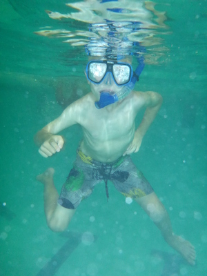 P1000105 (09-06-2013 19:07)