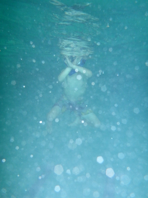 P1000106 (09-06-2013 19:07)