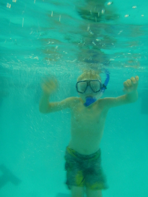 P1000108 (09-06-2013 19:07)