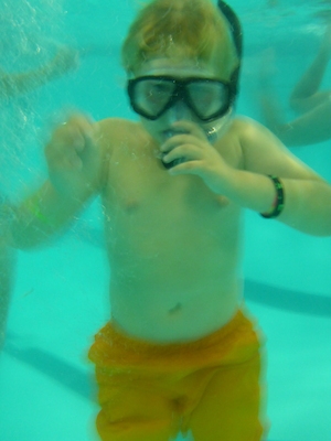 P1000109 (09-06-2013 19:08)