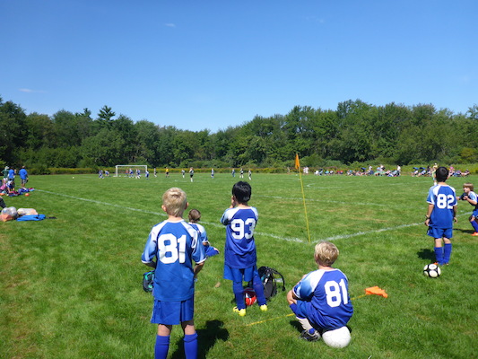 P1000112 (09-07-2013 11:36)