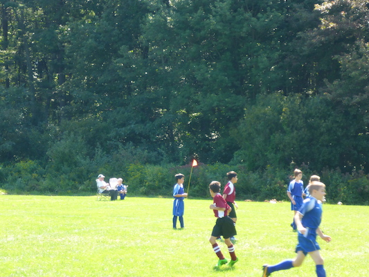 P1000117 (09-07-2013 12:19)