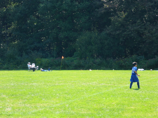 P1000120 (09-07-2013 12:33)