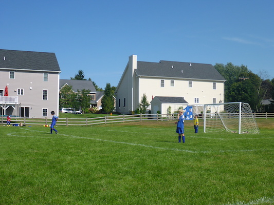 P1000125 (09-07-2013 13:51)