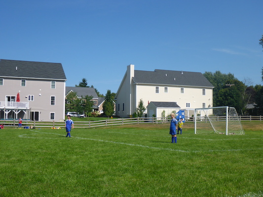 P1000126 (09-07-2013 13:51)