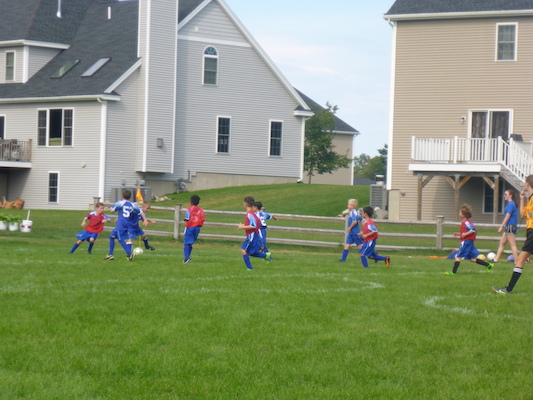 P1000127 (09-07-2013 14:26)