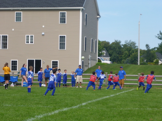 P1000129 (09-07-2013 14:28)