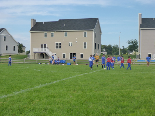 P1000130 (09-07-2013 14:30)