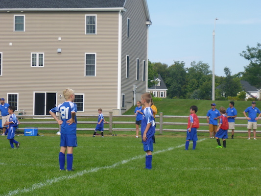 P1000132 (09-07-2013 14:38)