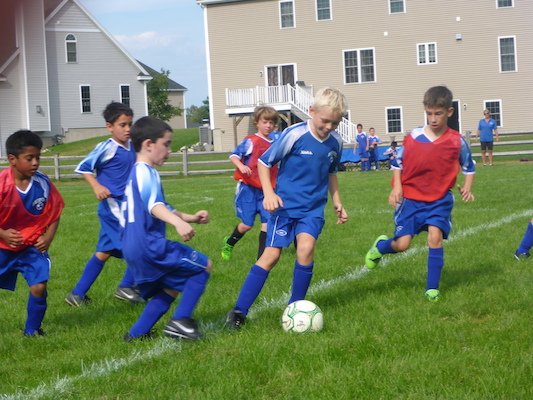 P1000134 (09-07-2013 14:40)