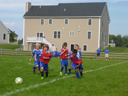 P1000136 (09-07-2013 14:41)