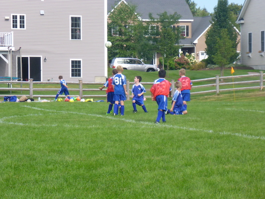 P1000137 (09-07-2013 14:43)