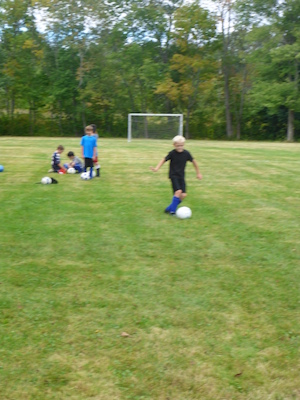 P1000158 (09-14-2013 11:36)