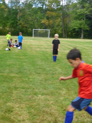 P1000160 (09-14-2013 11:36)