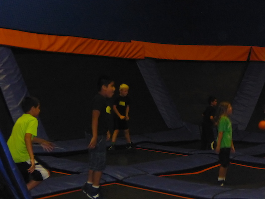 P1000184 (09-14-2013 14:53)