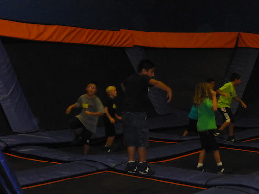 P1000185 (09-14-2013 14:53)