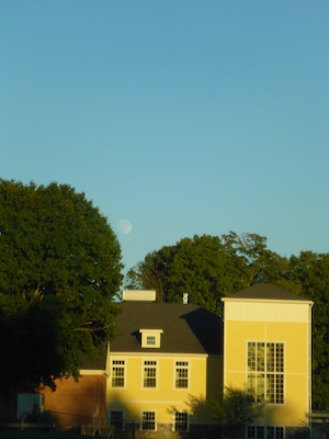 P1000221 (09-17-2013 17:23)