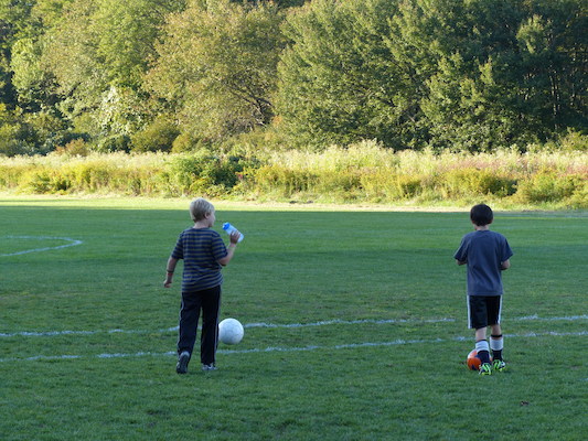 P1000015 (09-20-2013 17:34)