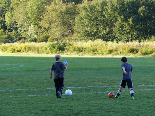 P1000016 (09-20-2013 17:34)