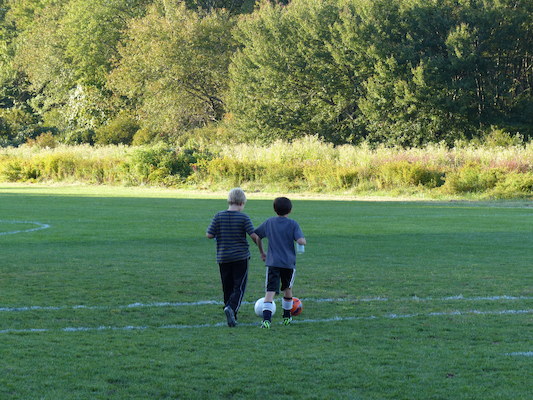 P1000018 (09-20-2013 17:34)