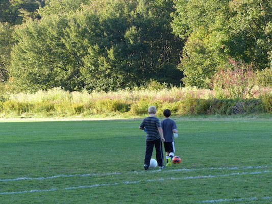 P1000019 (09-20-2013 17:34)