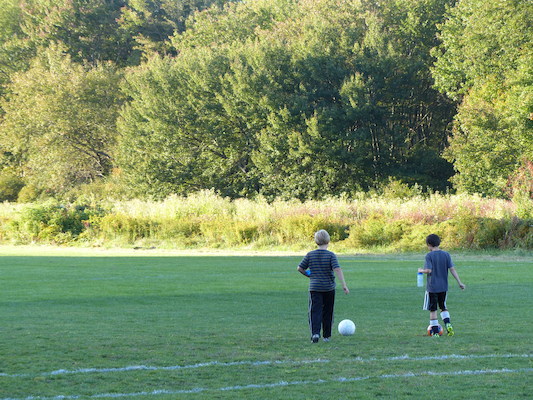 P1000020 (09-20-2013 17:35)