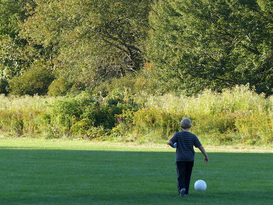 P1000021 (09-20-2013 17:35)