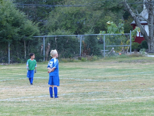 P1000036 (09-20-2013 18:05)