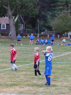 P1000086 (09-20-2013 18:40)