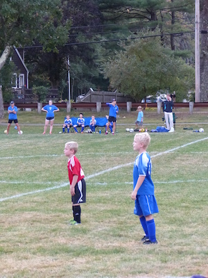 P1000088 (09-20-2013 18:40)