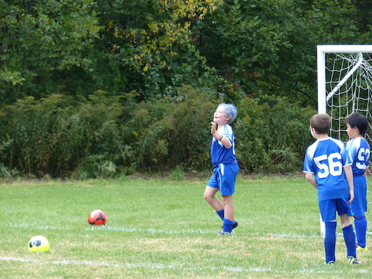 P1000091 (09-21-2013 12:40)