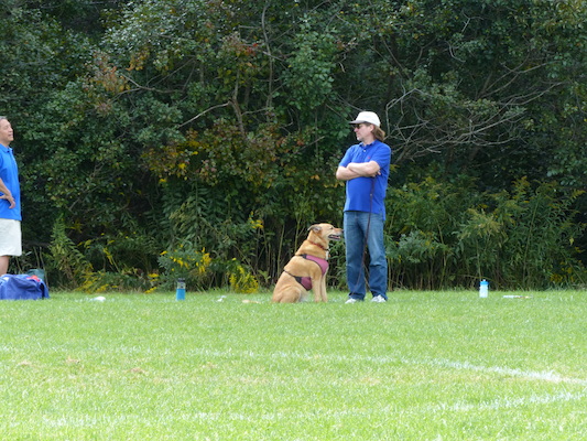 P1000105 (09-21-2013 12:50)