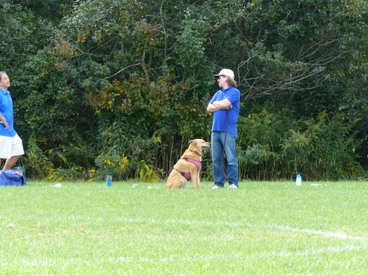 P1000106 (09-21-2013 12:50)