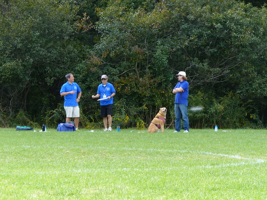 P1000107 (09-21-2013 12:51)